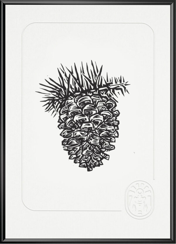 Sosnowa Szyszka Talgat Alim